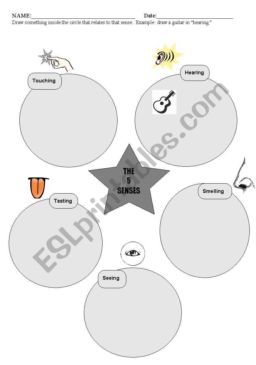 5 Senses /  Drawing  worksheet