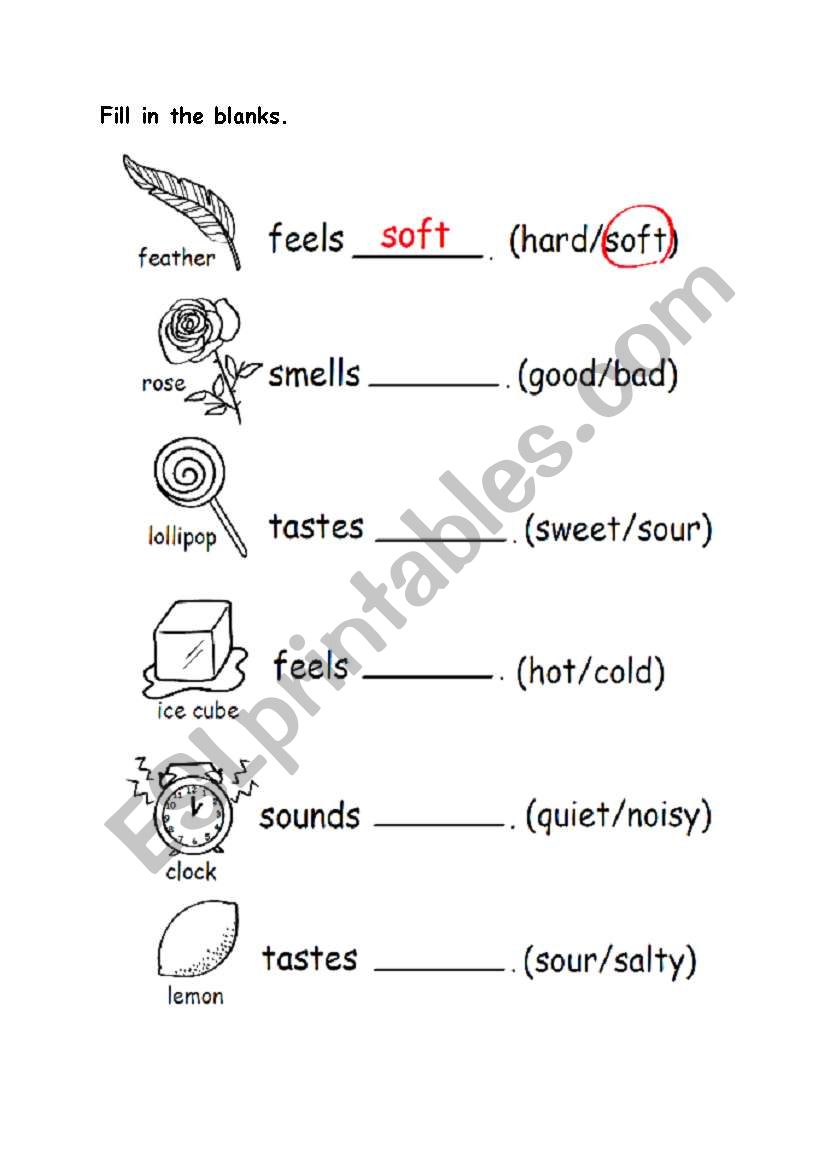 five sense worksheet