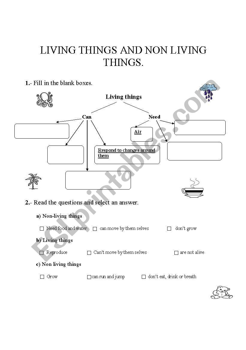 Living things and non living things