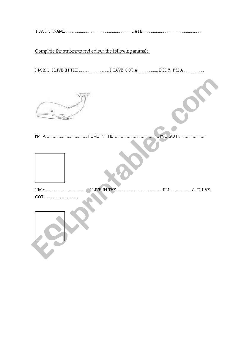 describing animals. worksheet