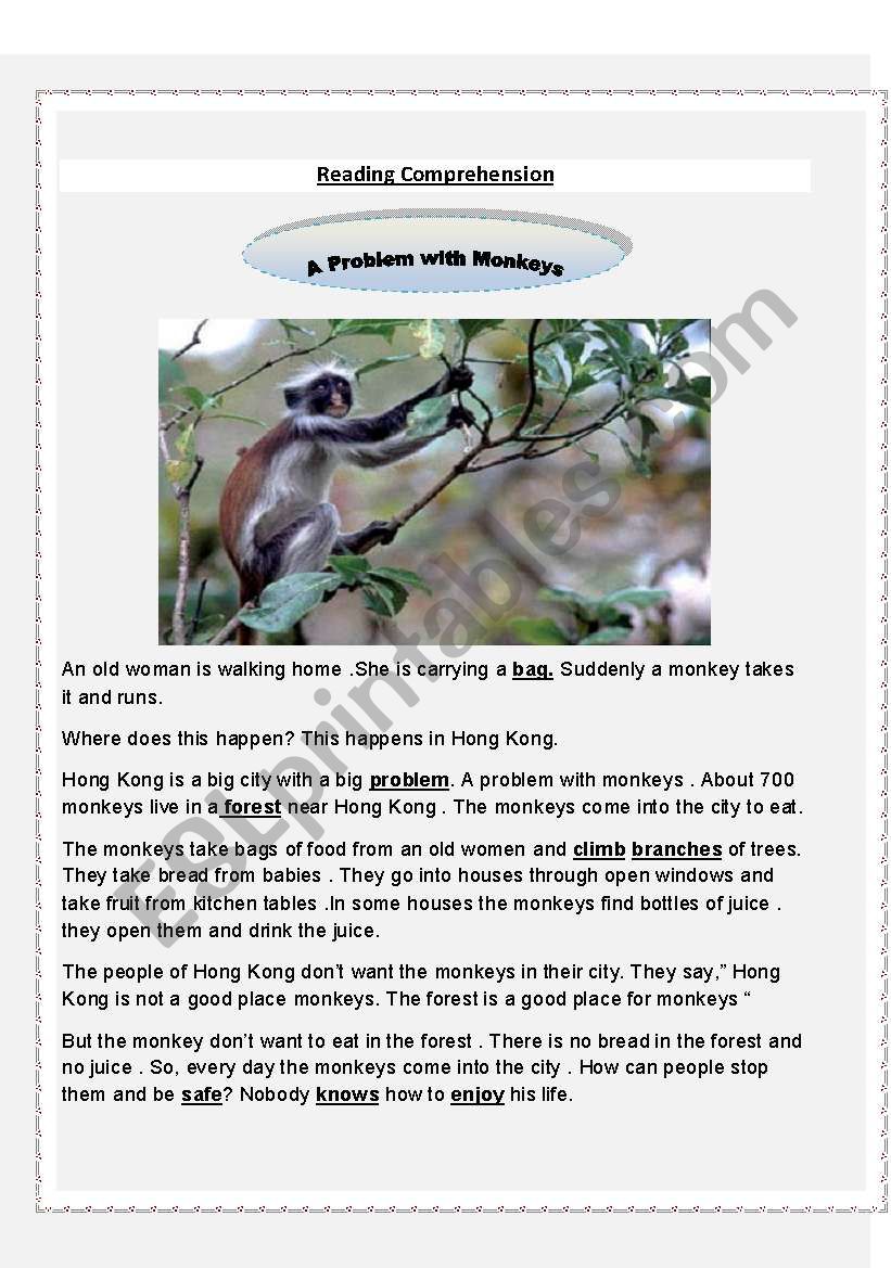 Reading comprehension problem with monkeys