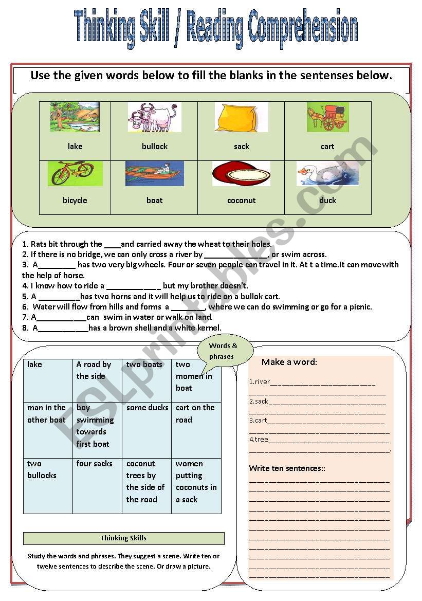 Reading comprehension worksheet