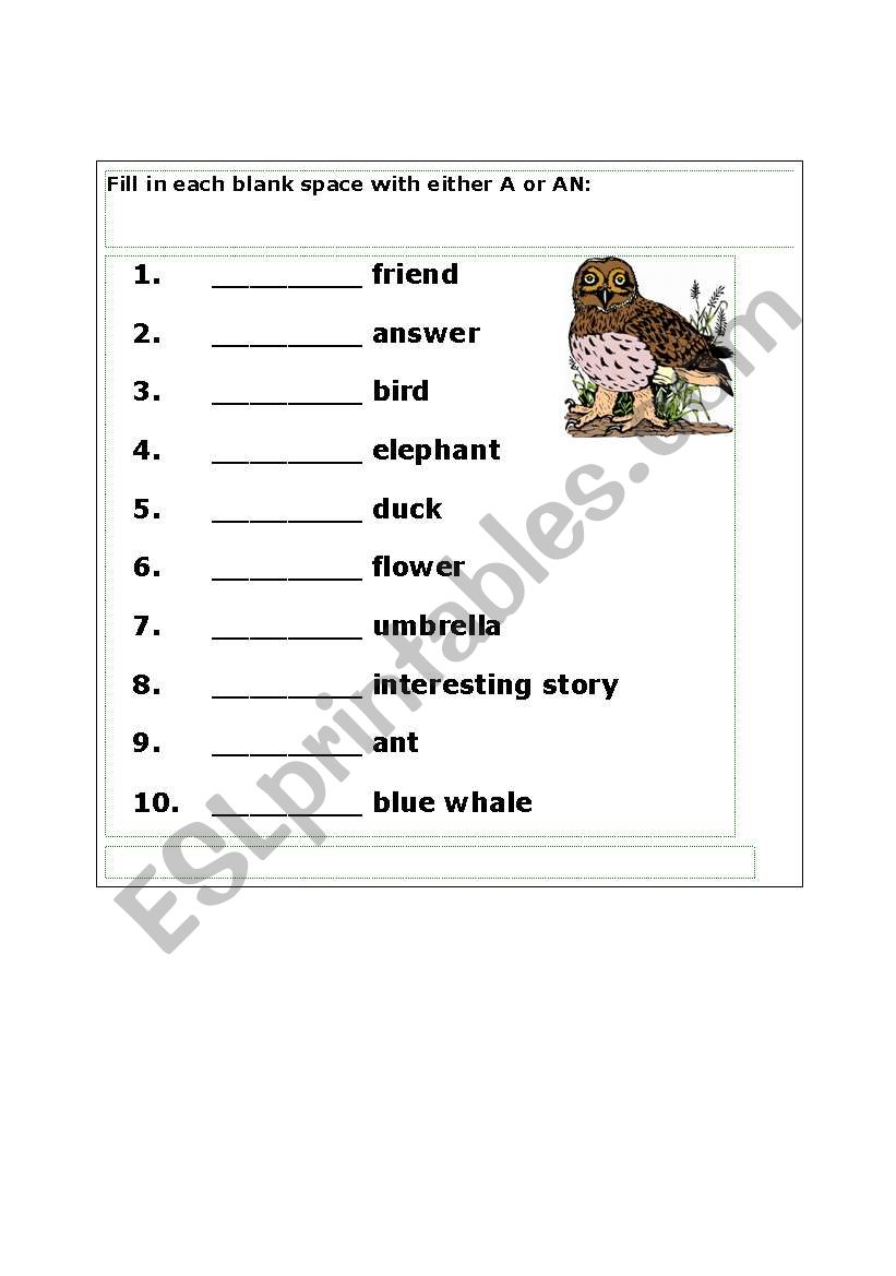 use of a or an worksheet
