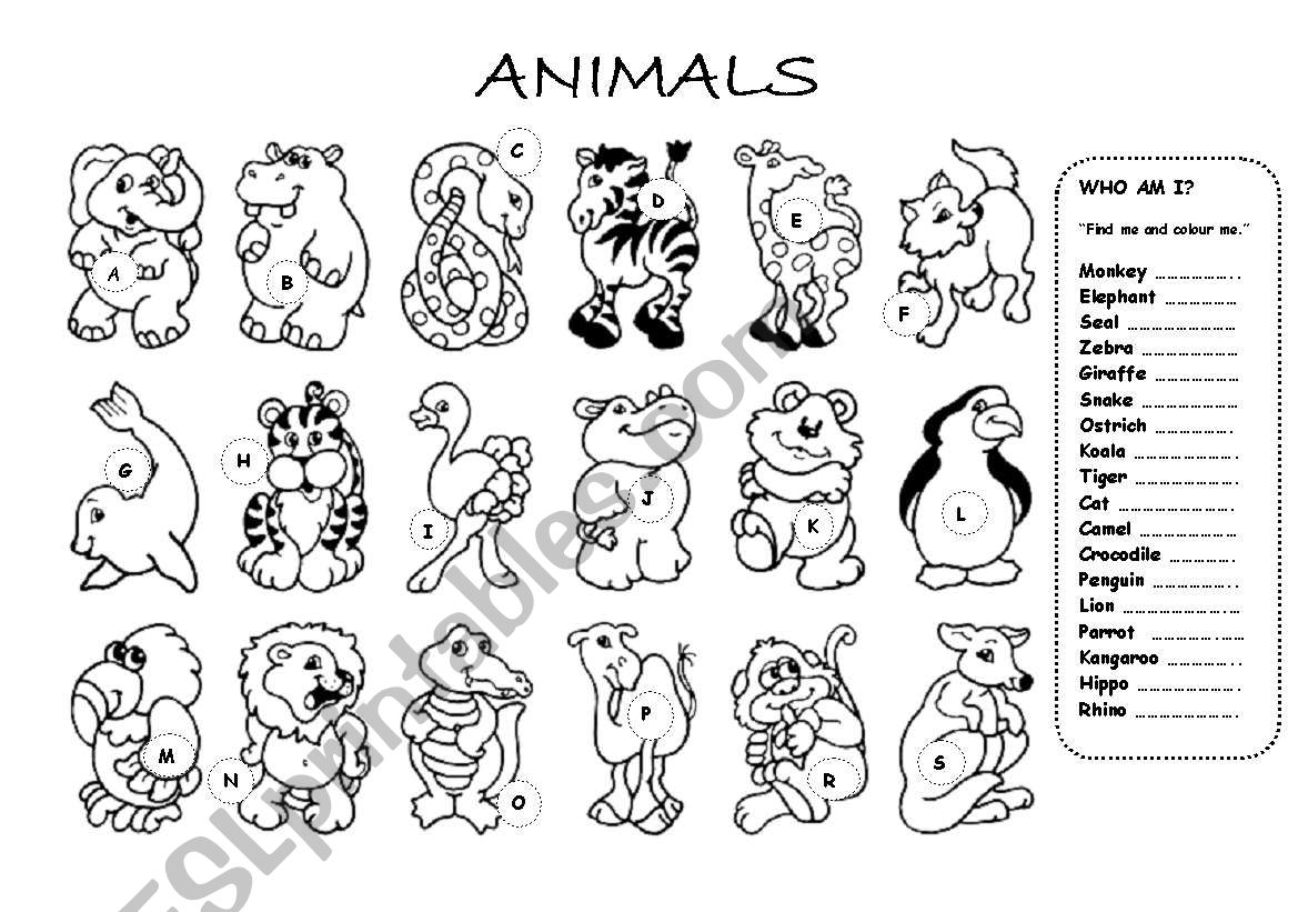 animals worksheet & colouring page