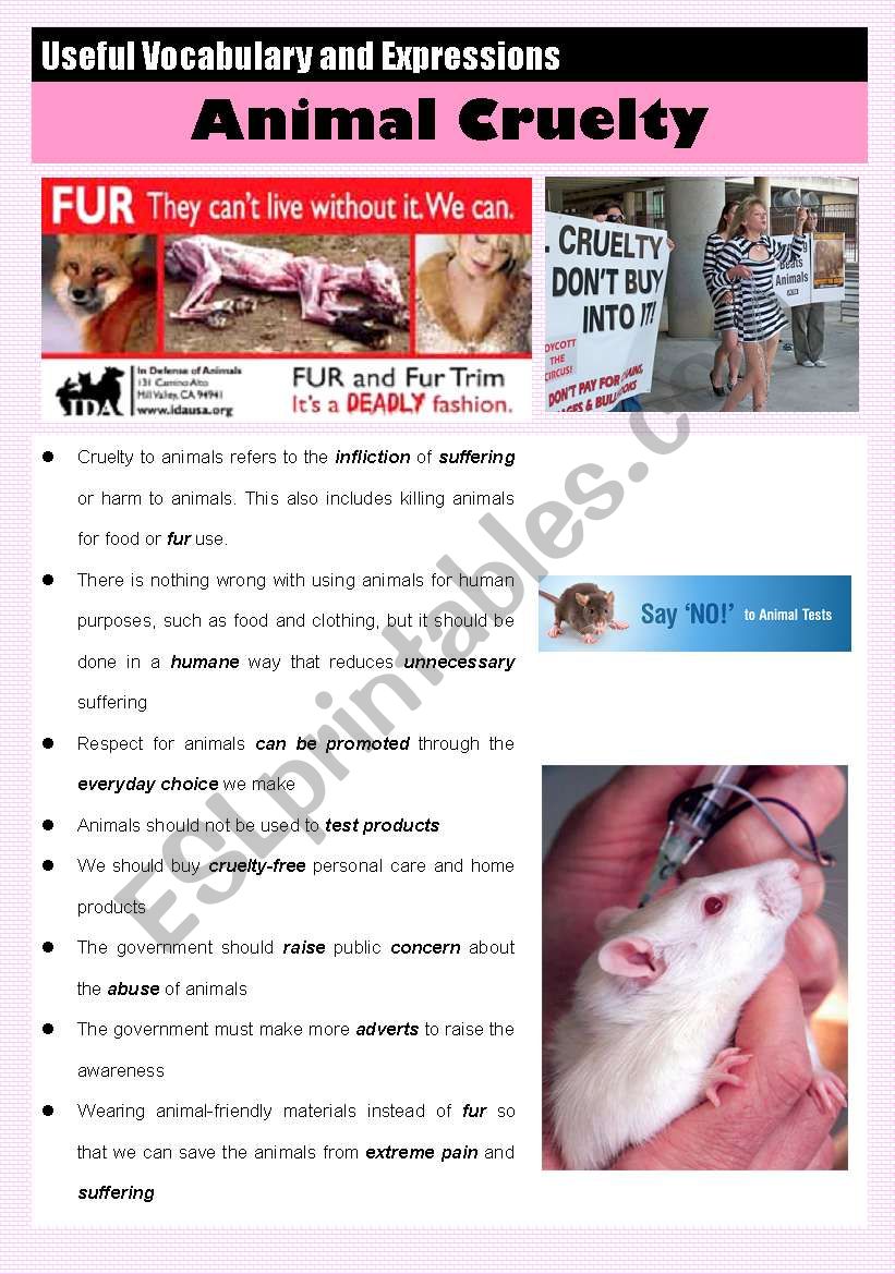 ANIMAL CRUELTY (useful vocabulary and expressions) - ESL worksheet by lester79 ANIMAL CRUELTY (useful vocabulary and expressions) - ESL worksheet by lester79