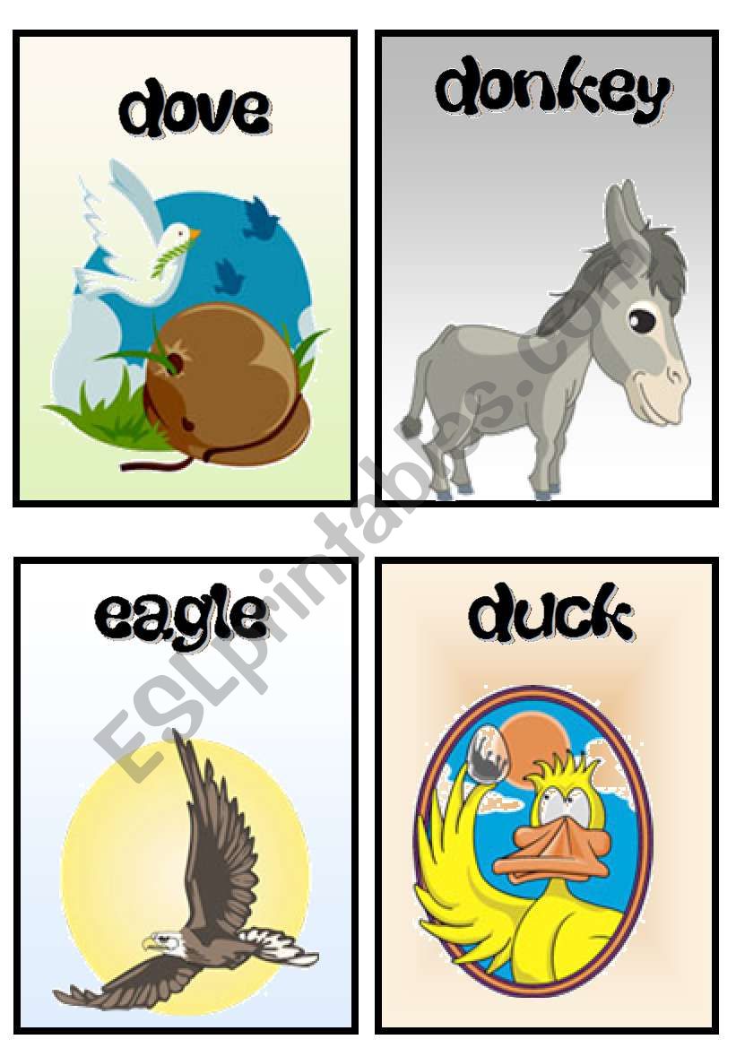 animals worksheet