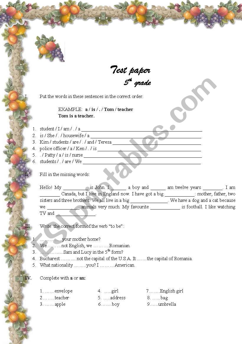 Test paper 5th grade worksheet