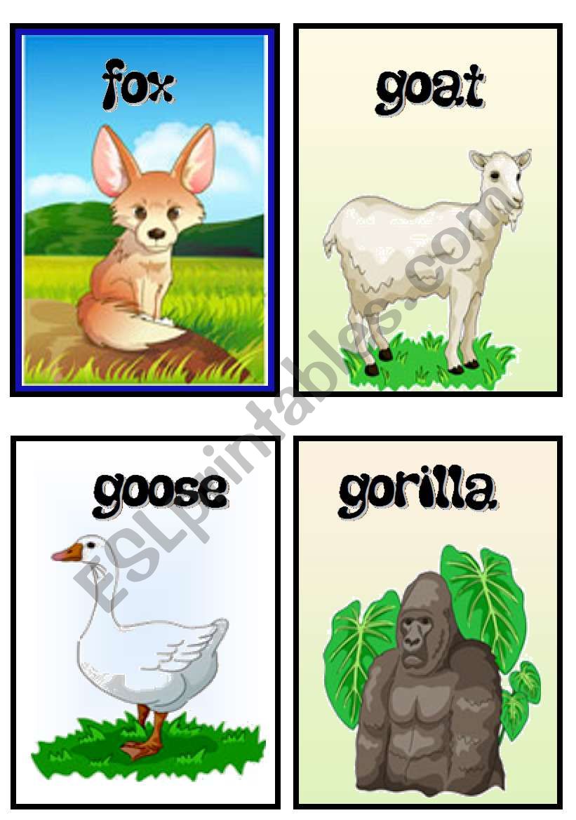 animals worksheet