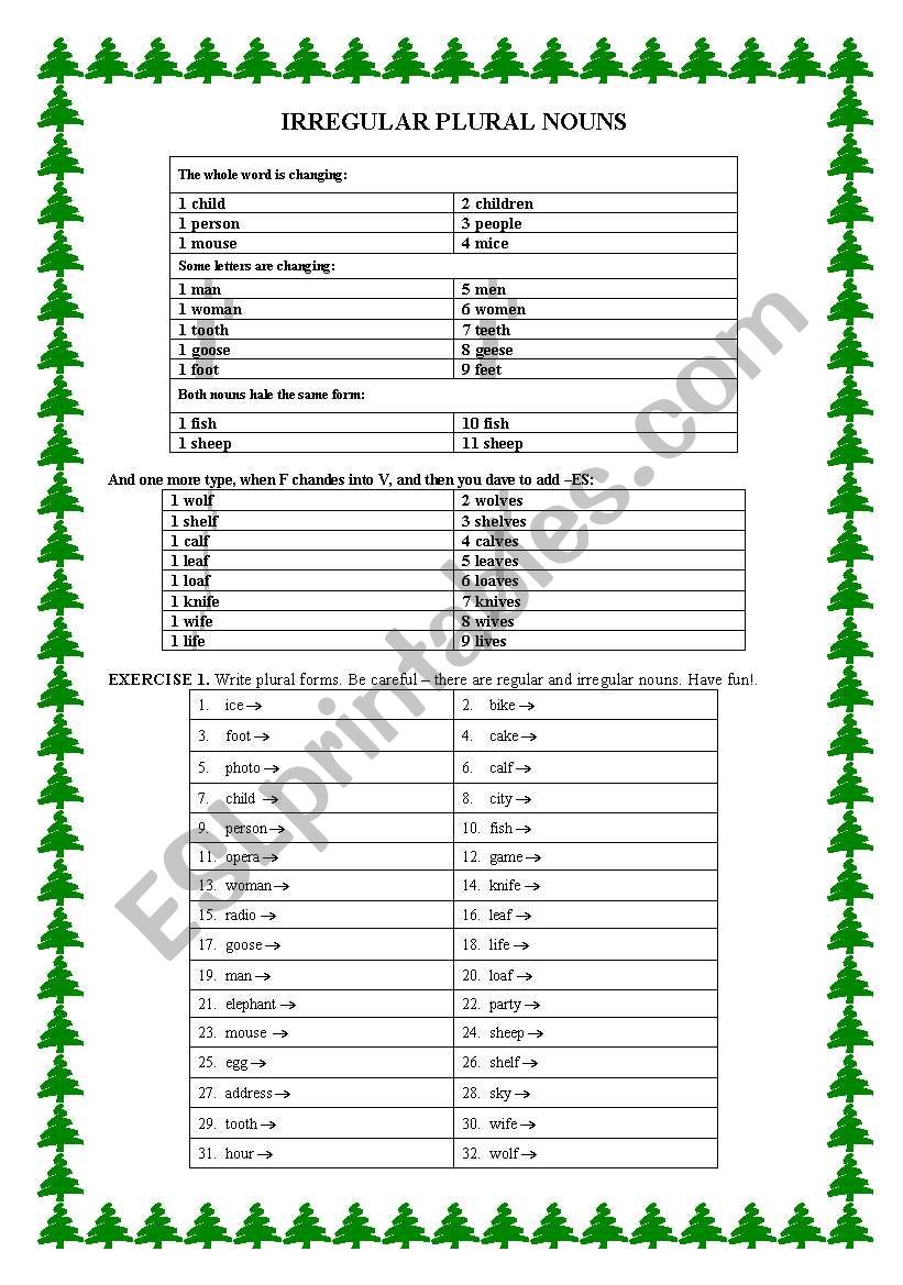 IRREGULAR PLURAL NOUNS worksheet