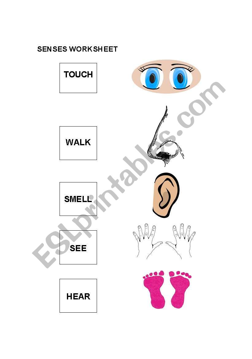 Easy Senses worksheet