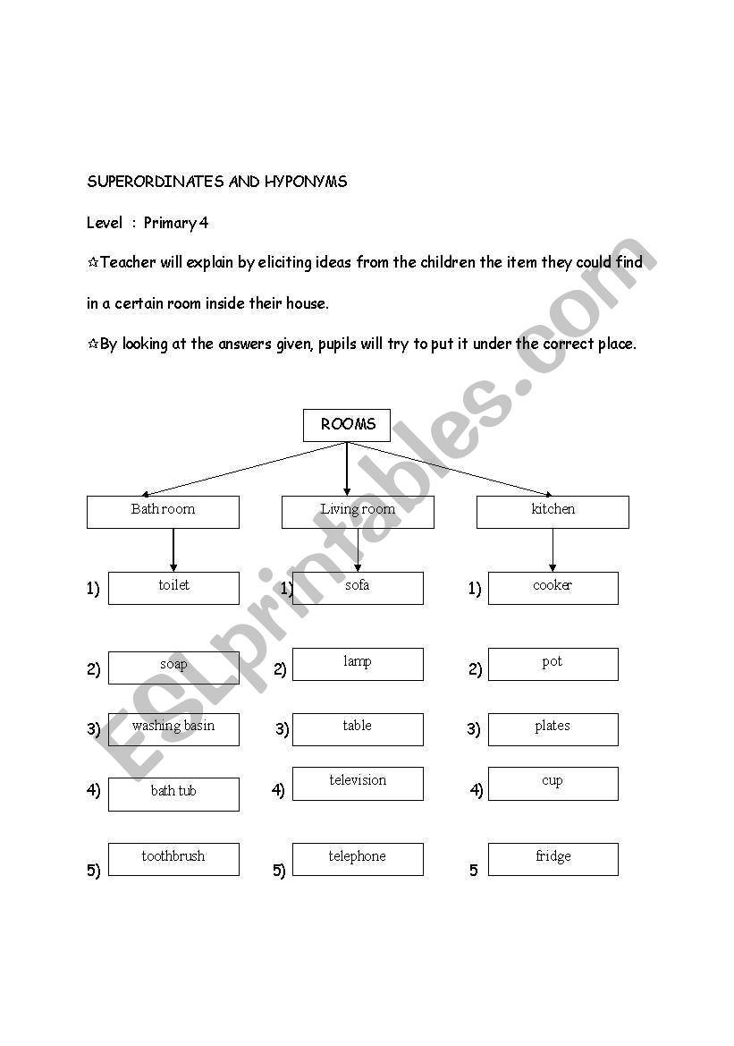 SUPERORDINATES AND HYPONYMS worksheet