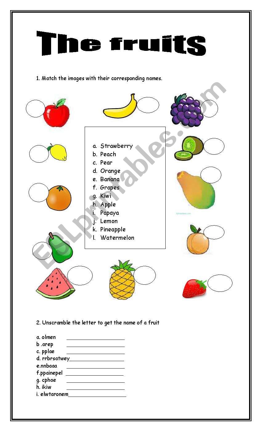 The fruits worksheet