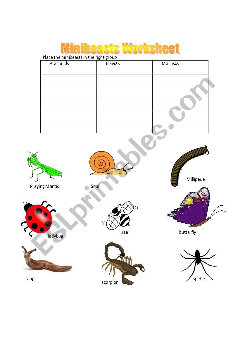 Minibeasts Grouping worksheet