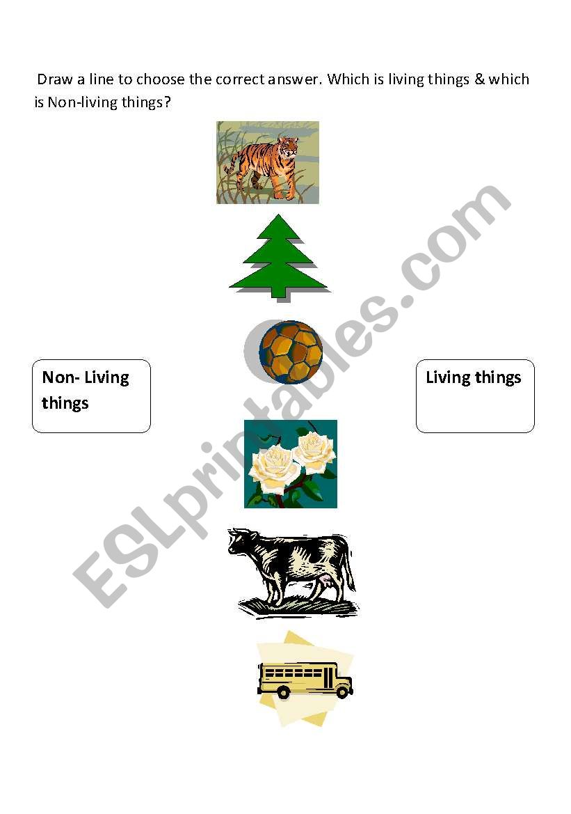 Living & Non living things worksheet