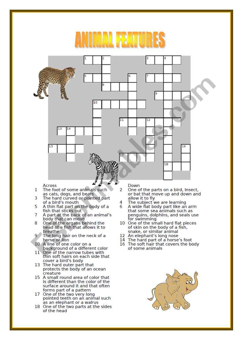 Animal Features - Crossword worksheet