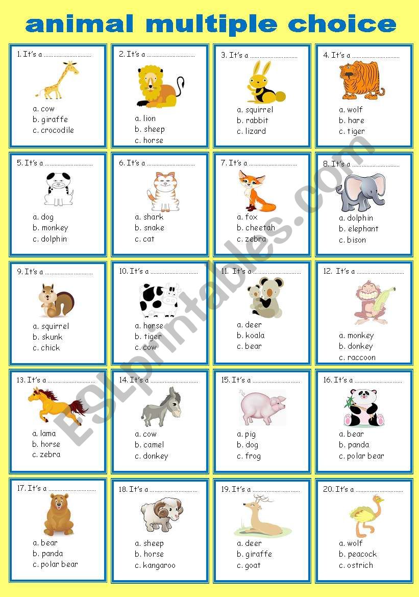 animals (multiple choice) worksheet