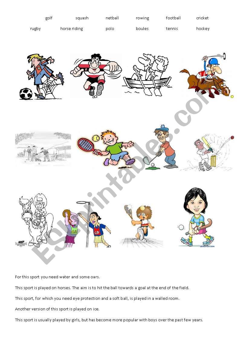 Sport worksheet