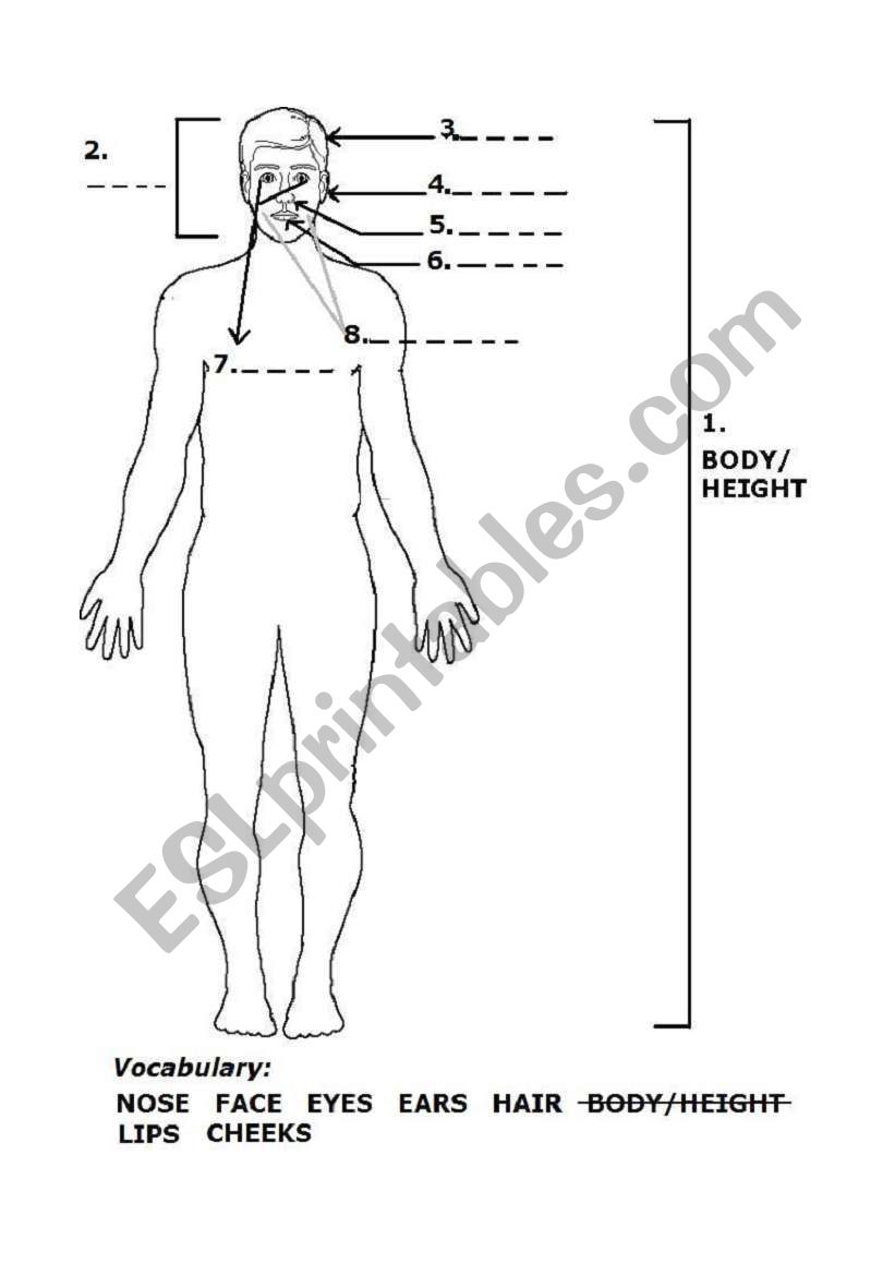 parts of the face worksheet