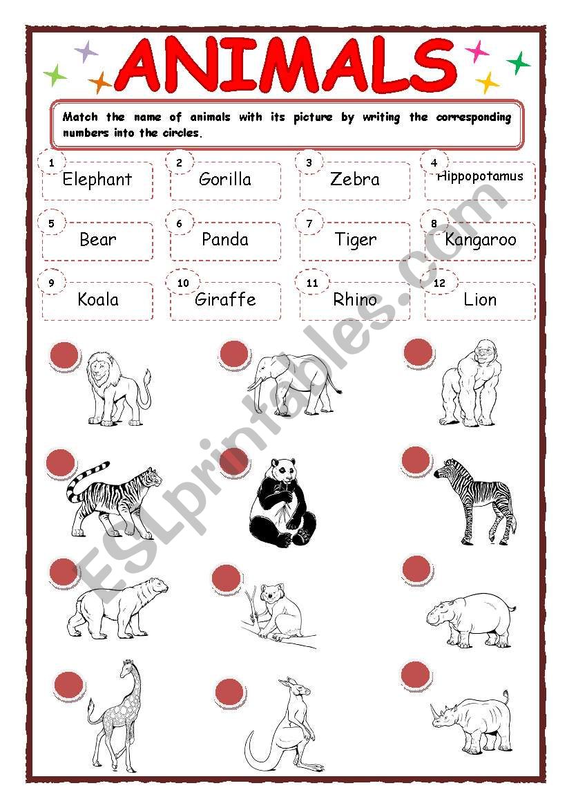 Animals worksheet