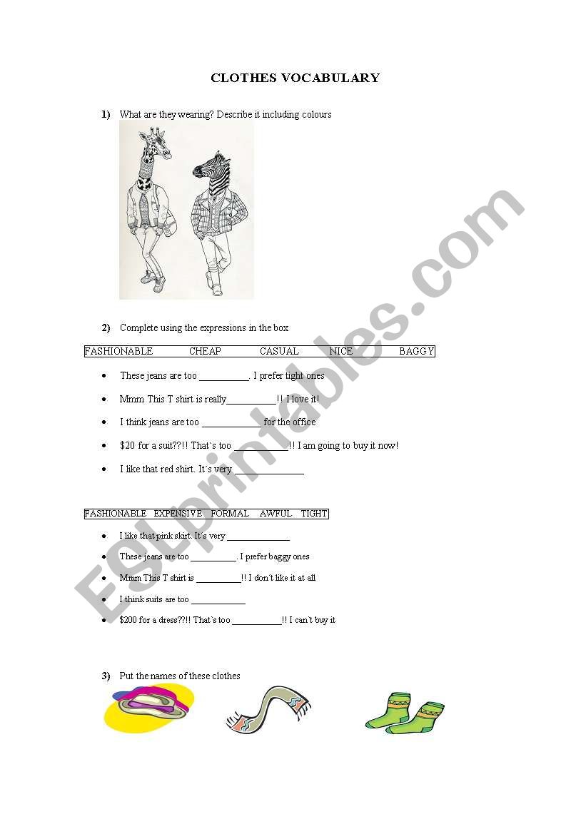 Clothes Vocabulary worksheet