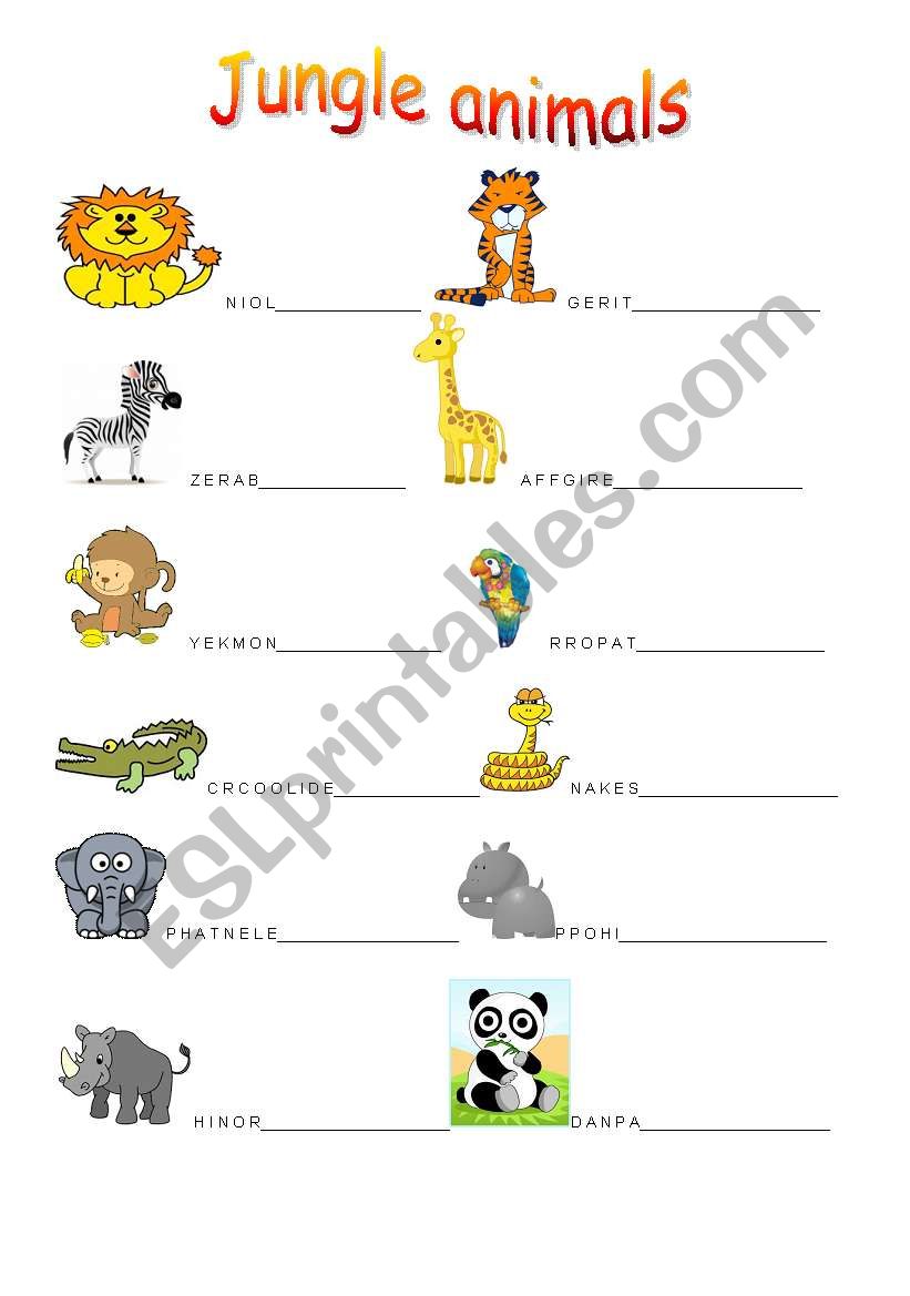 Jungle animals worksheet