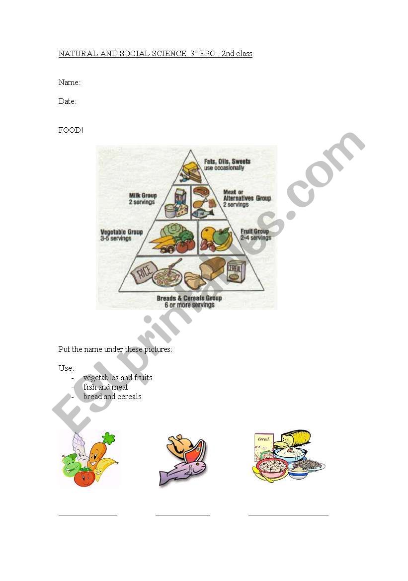 food worksheet