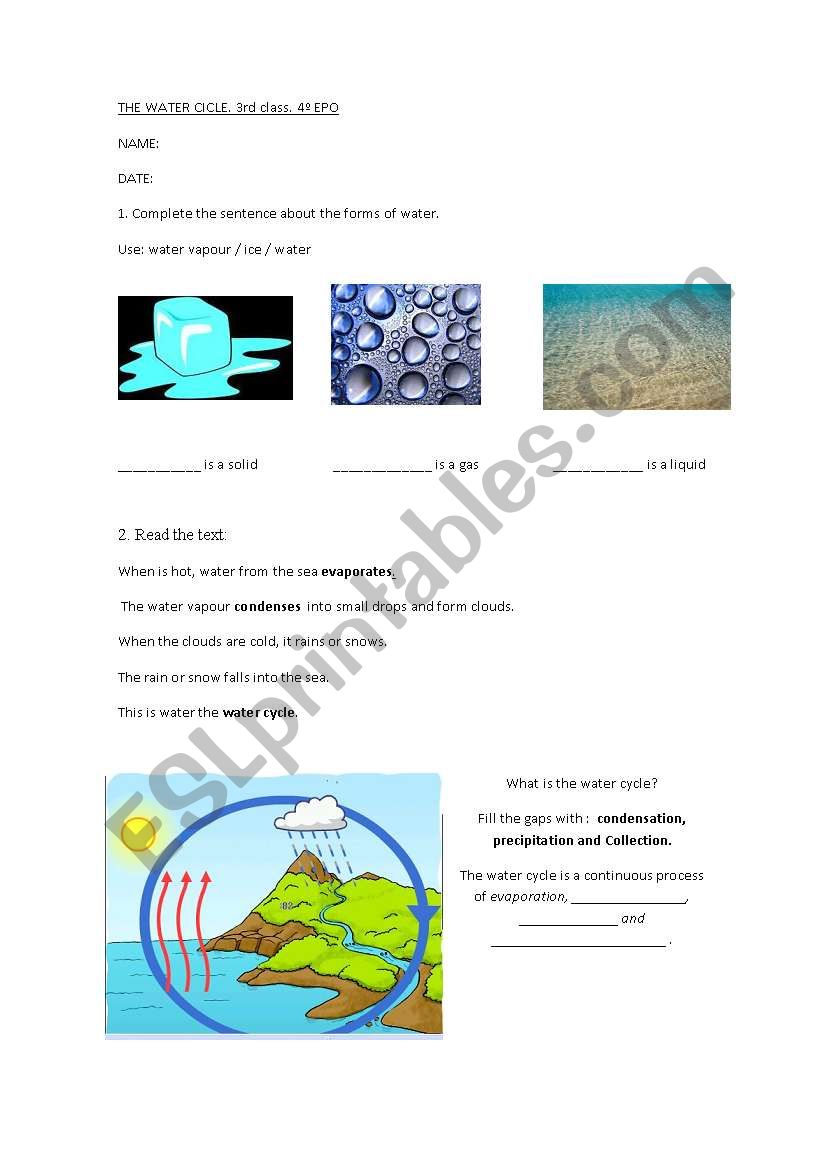 the water cicle worksheet
