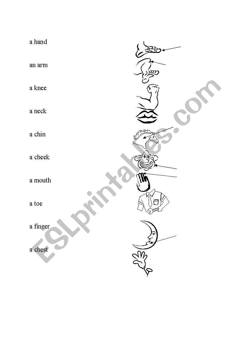 Body parts worksheet