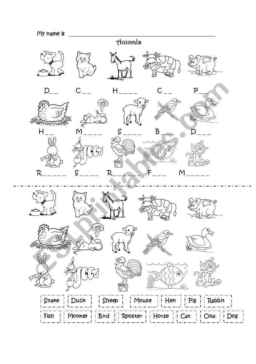 Animals (Pets) worksheet