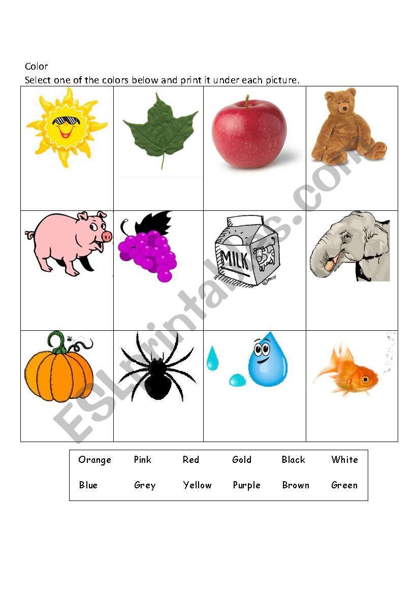 Color Recognition worksheet