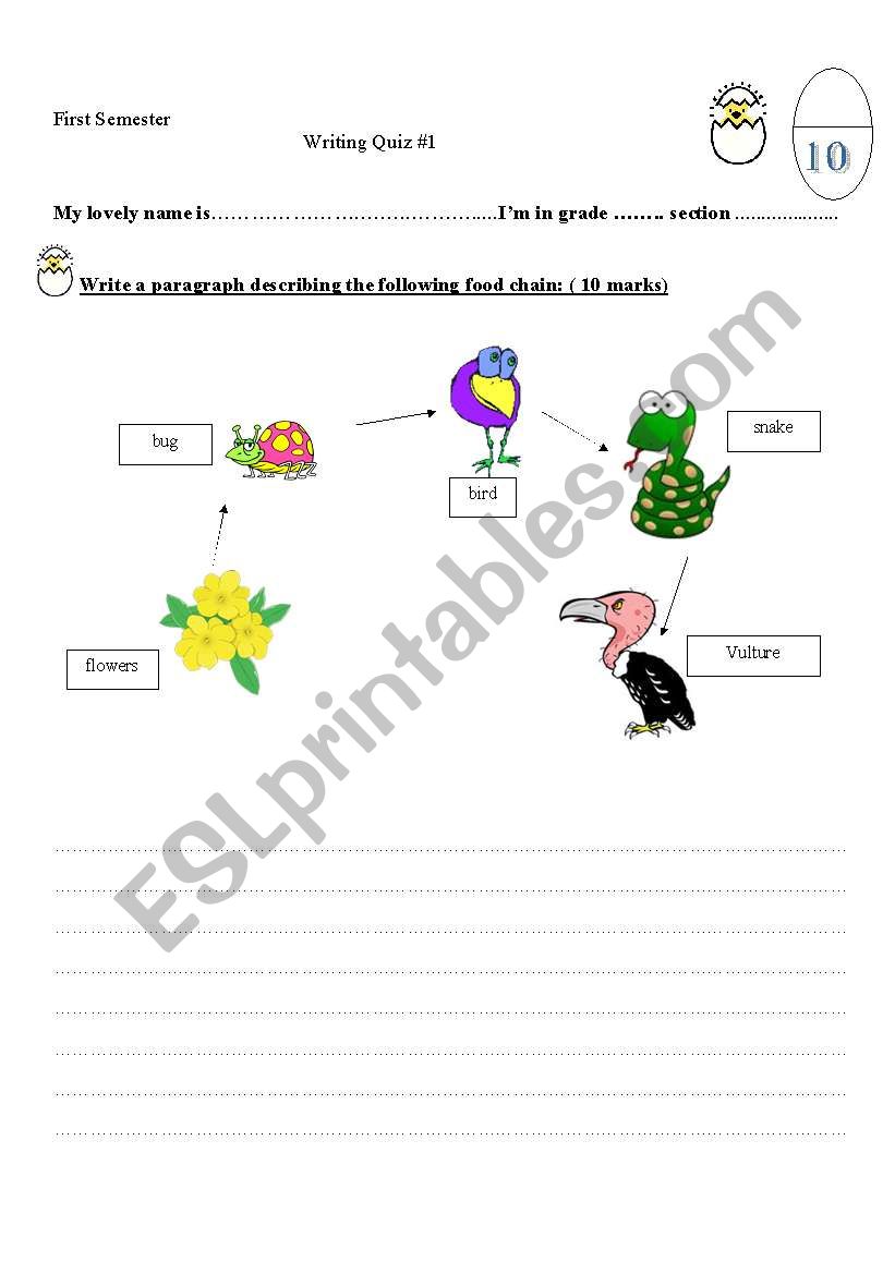 In the Ocean Food Chain worksheet