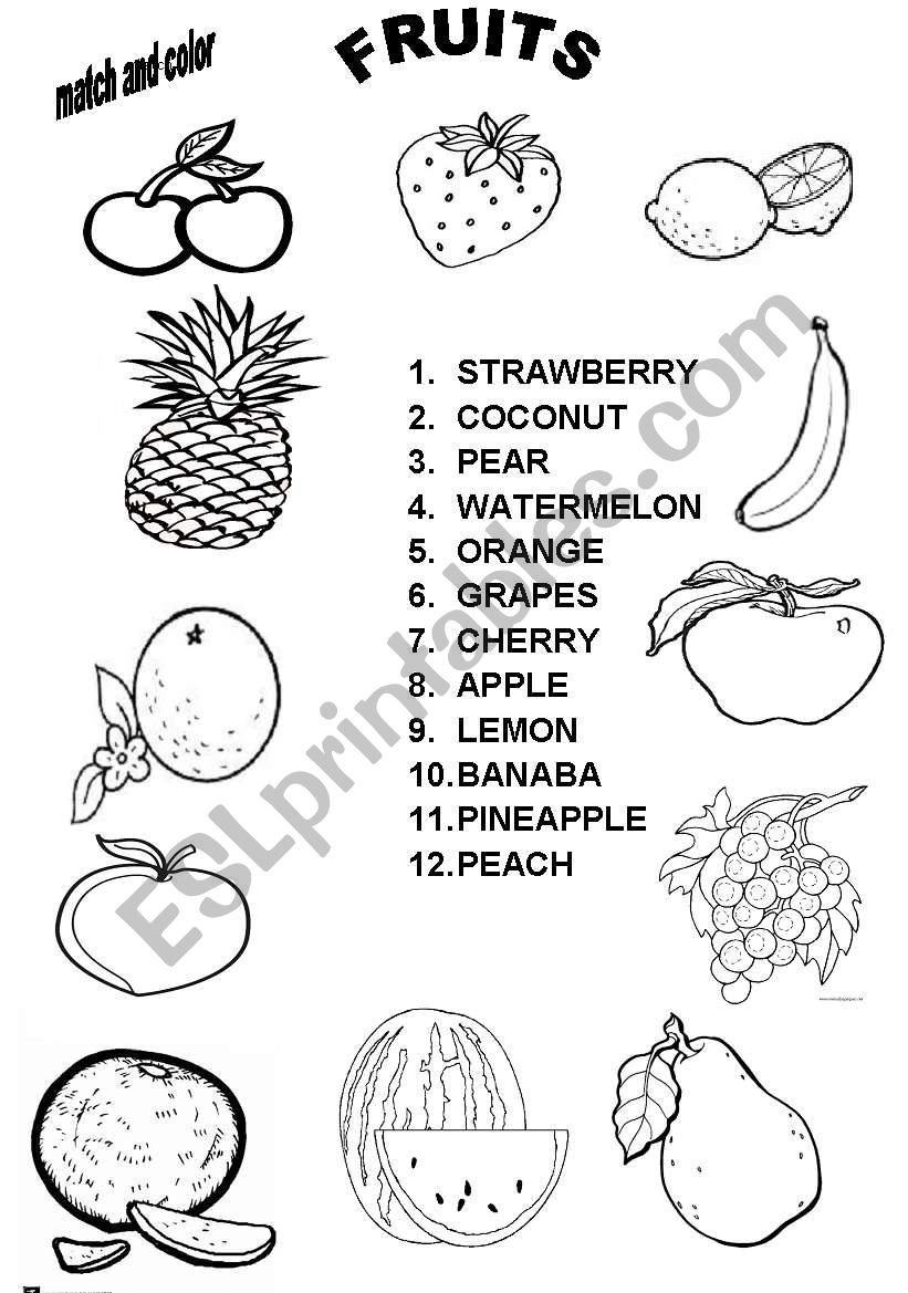 FRUITS worksheet