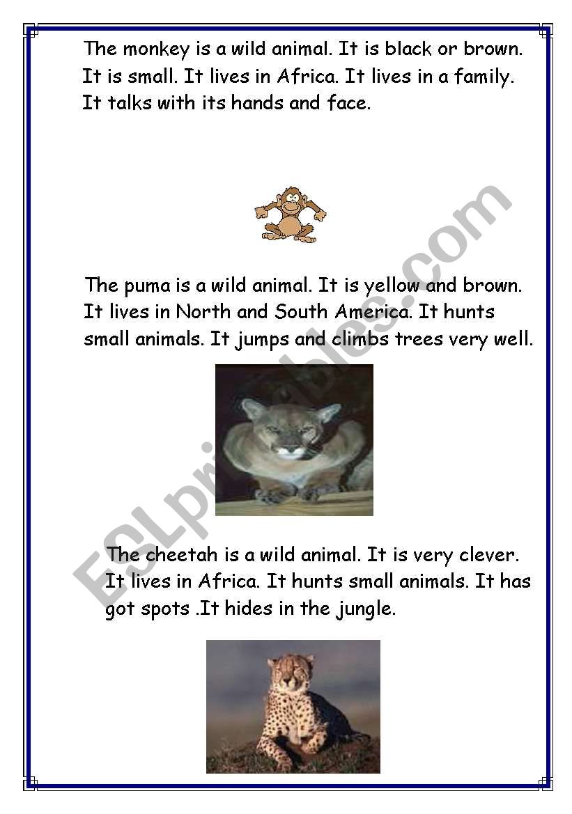 animals worksheet