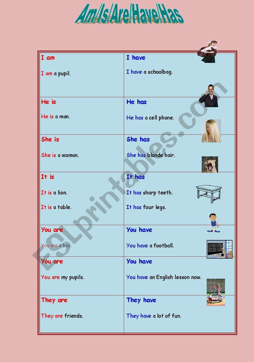 Verb to be + have/has worksheet