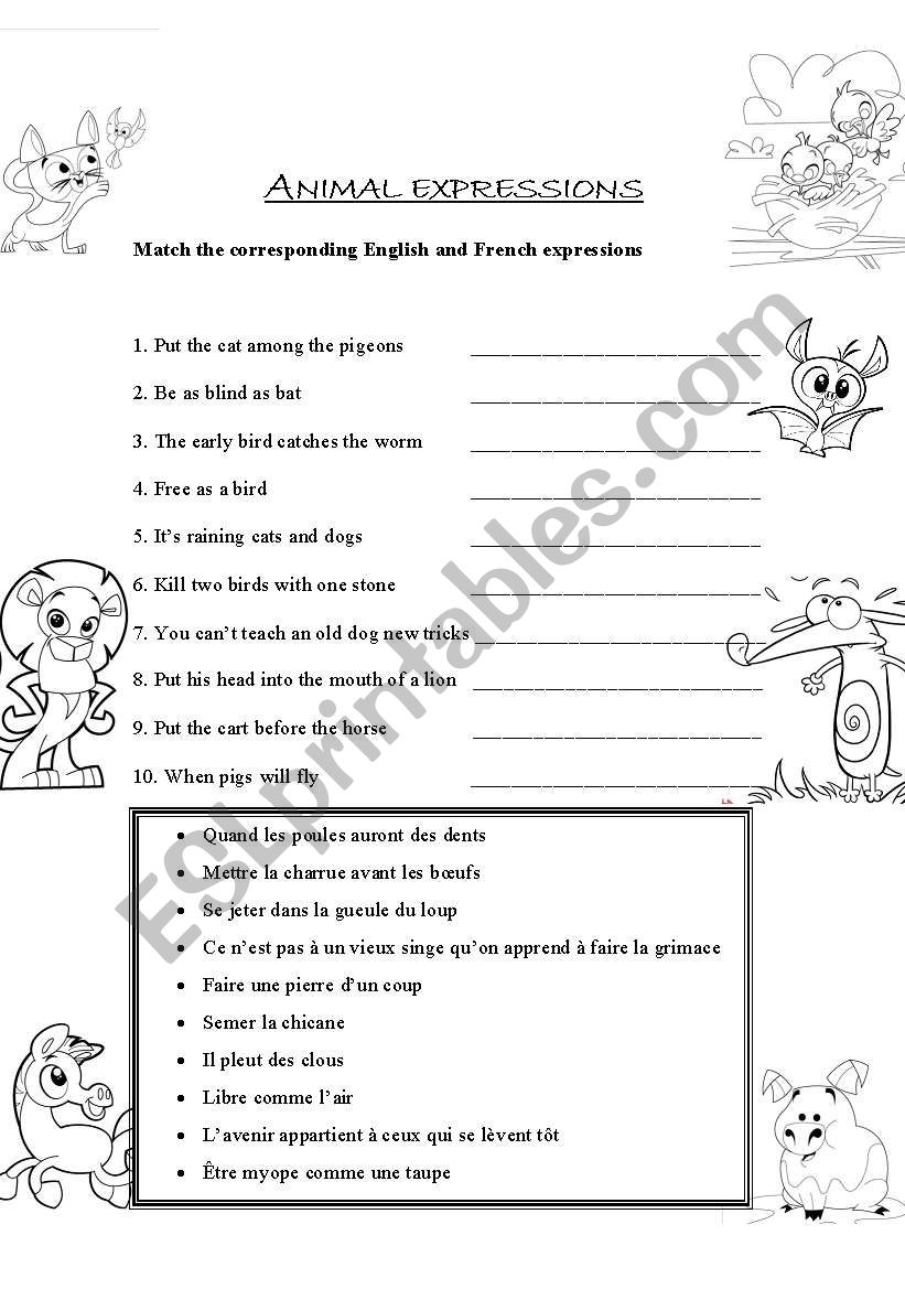 Animal expressions worksheet