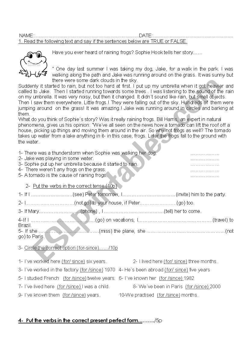 english adventure worksheet