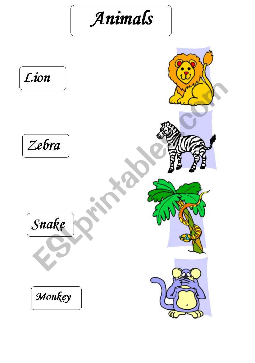 Animals worksheet