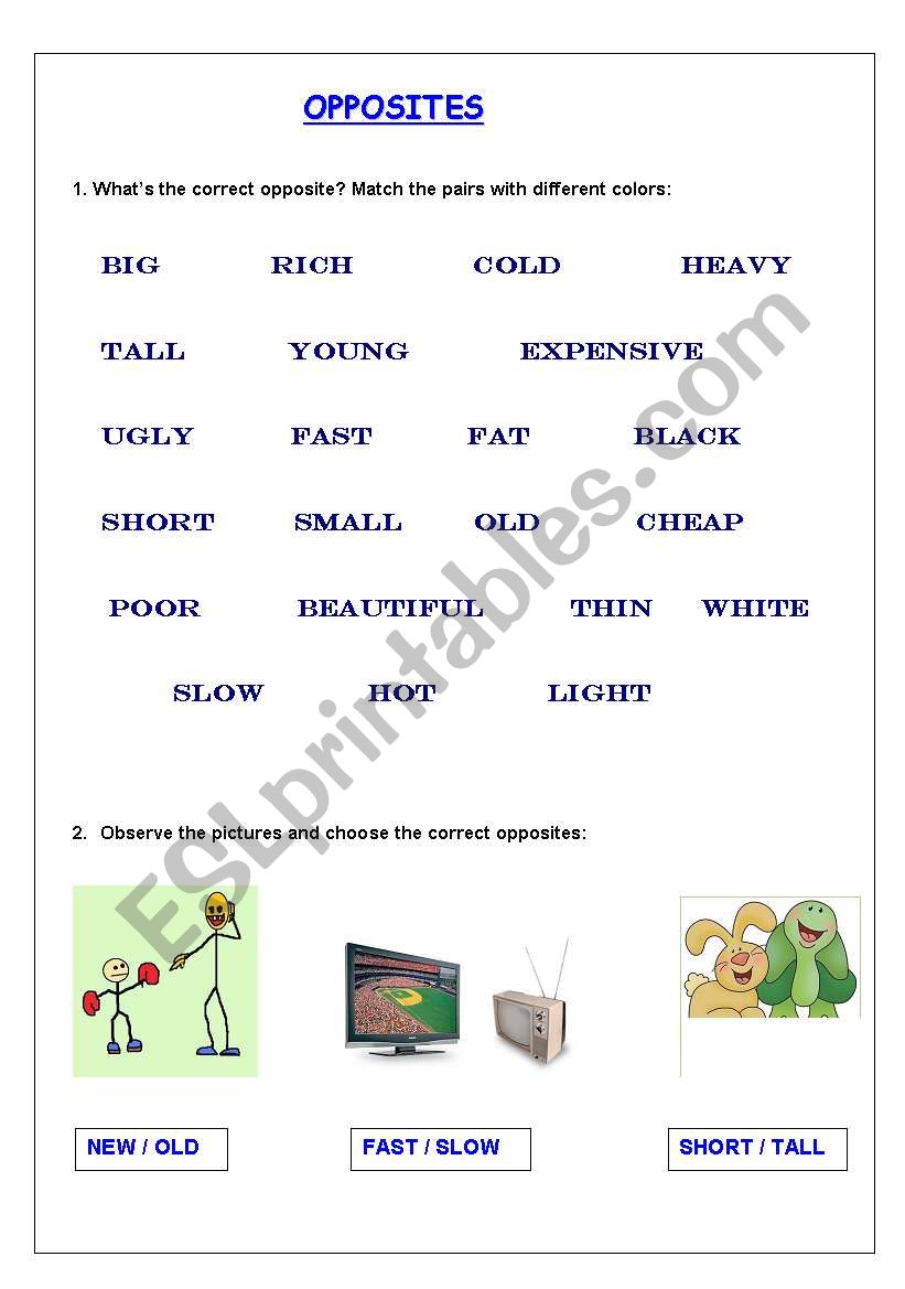 Opposites worksheet