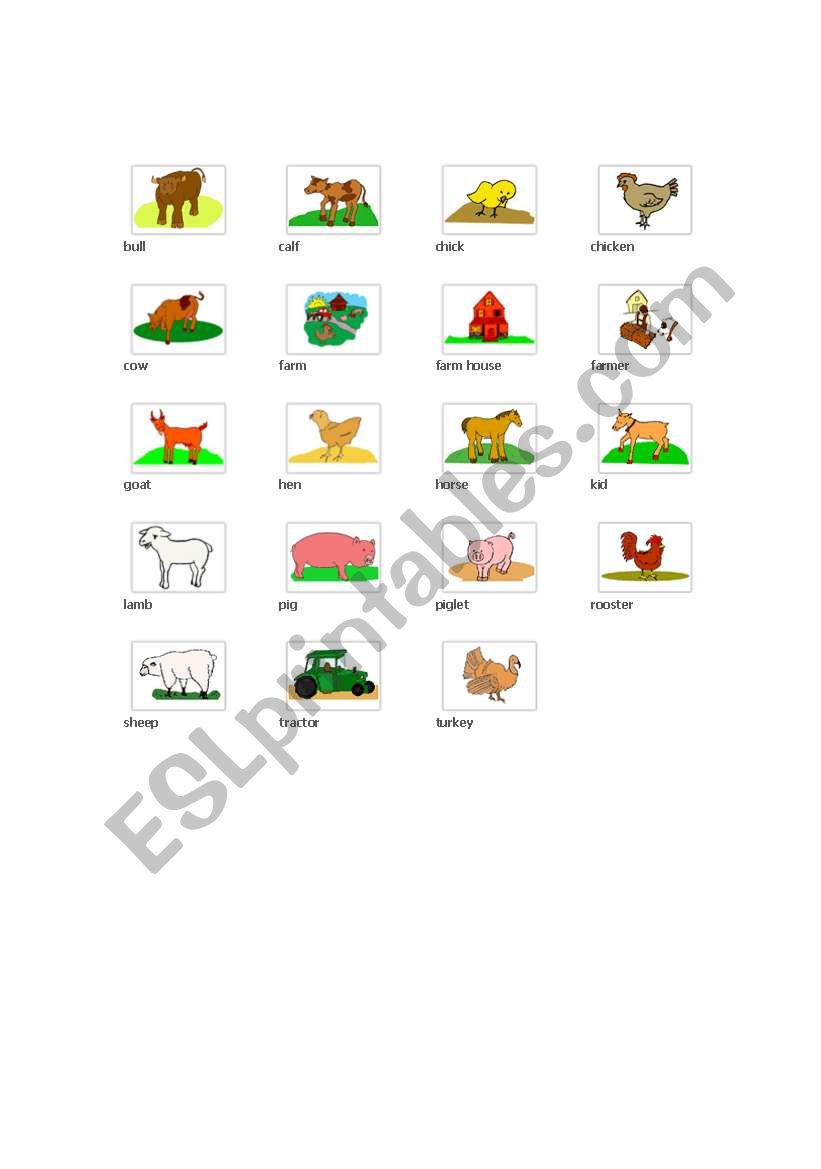 animals farm worksheet