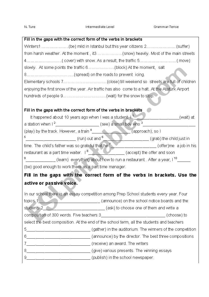 Intermediate Level  Verb Tense  Worksheet 