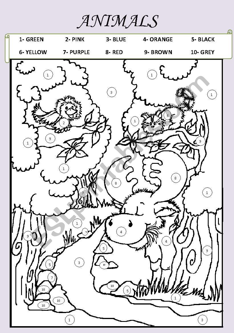 ANIMALS IN A FOREST worksheet