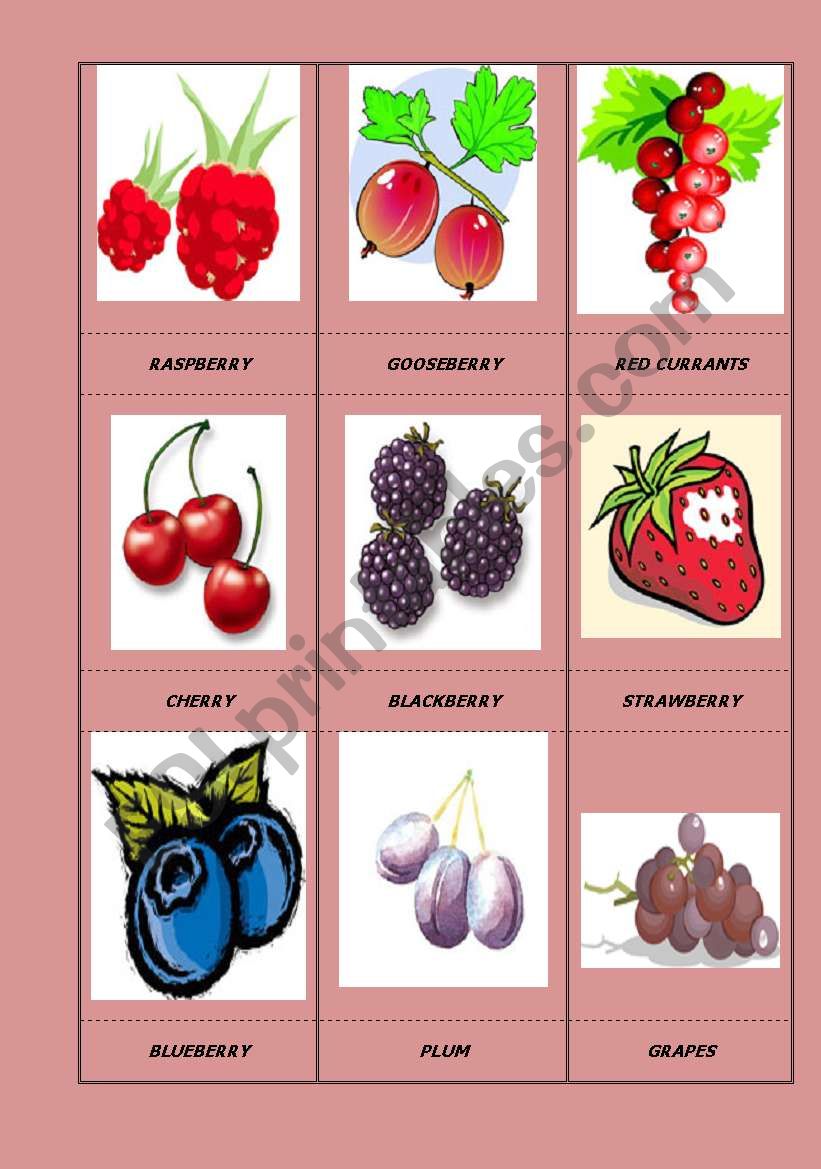 fruit worksheet