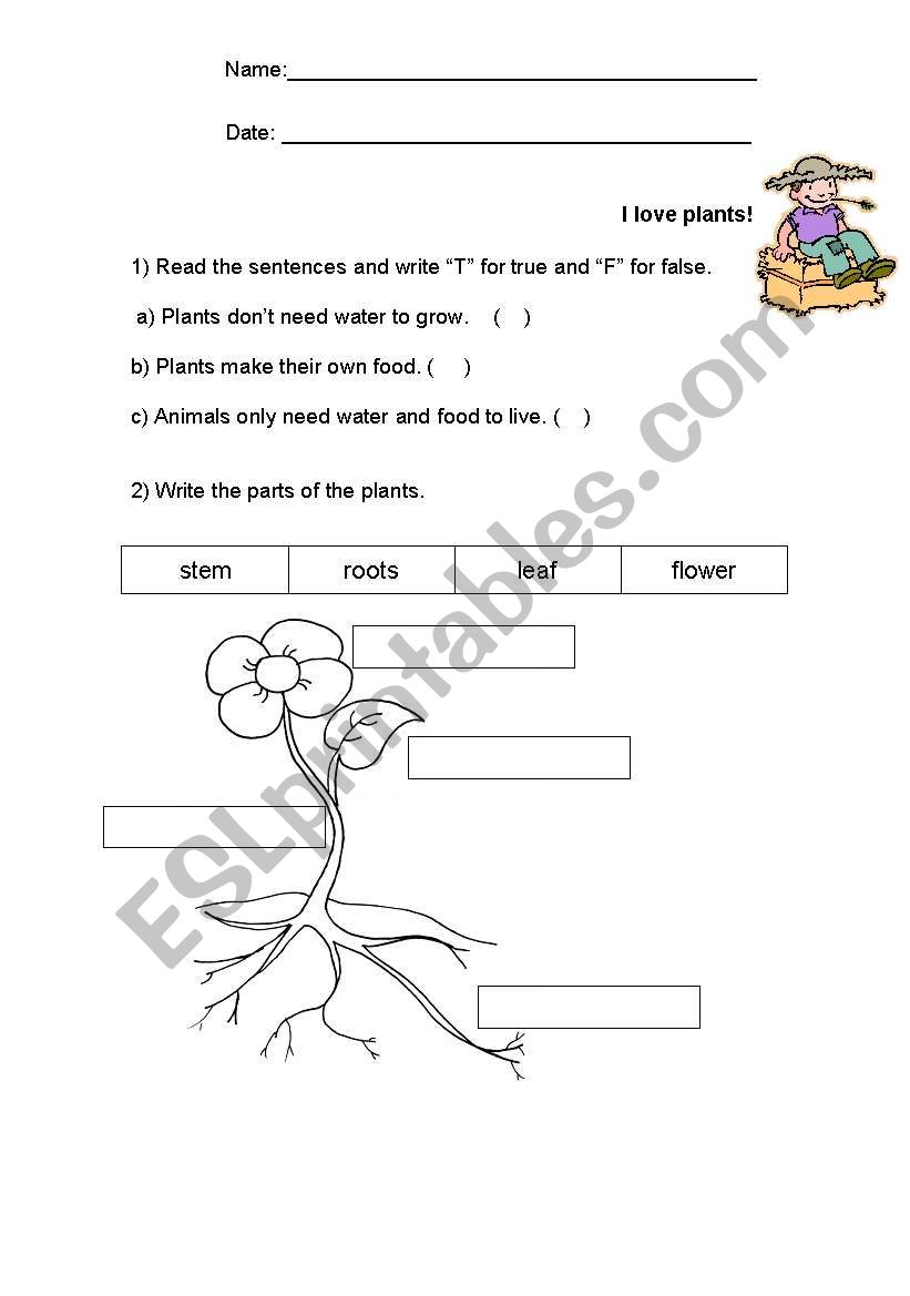 Plants worksheet