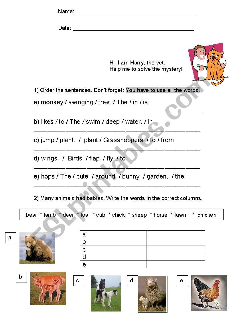 Animals worksheet