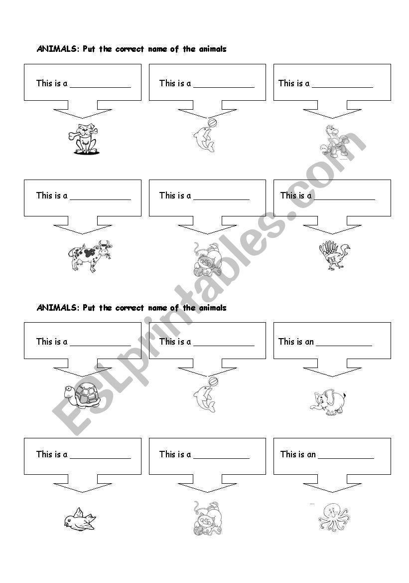 animals QUIZ worksheet