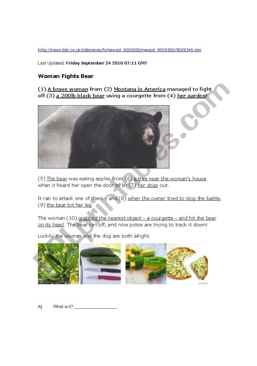 Woman Fights Bear - BBC Kids News article + vocab