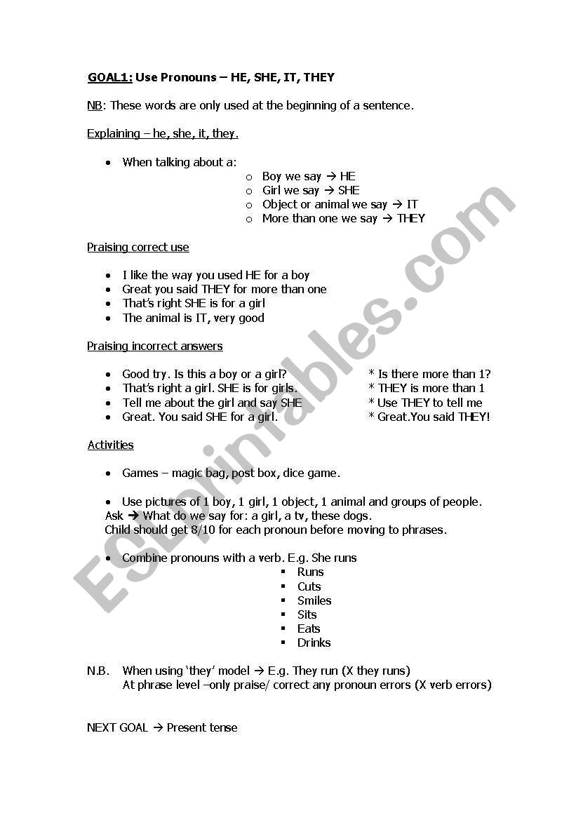 Easy Morphology Program - past and present tense, pronouns, possessives