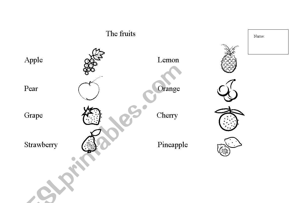 The fruits worksheet