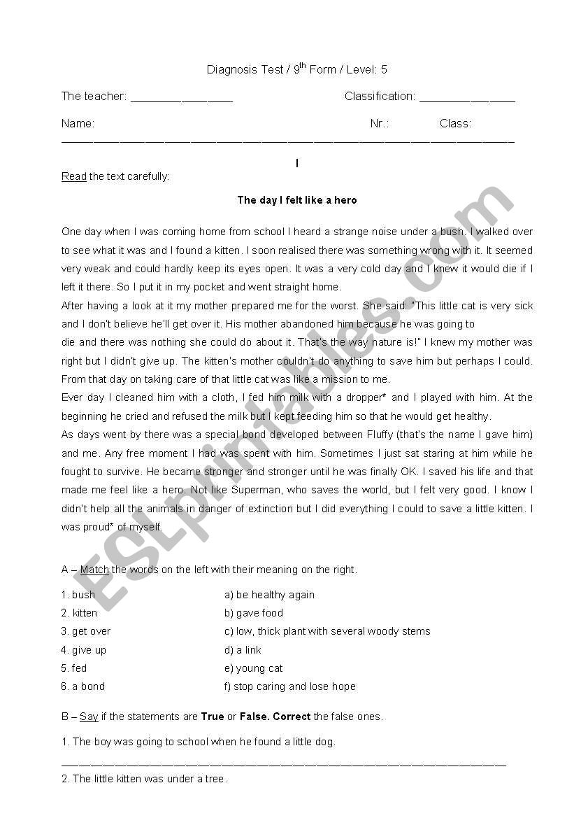 Diagnostic Test  worksheet