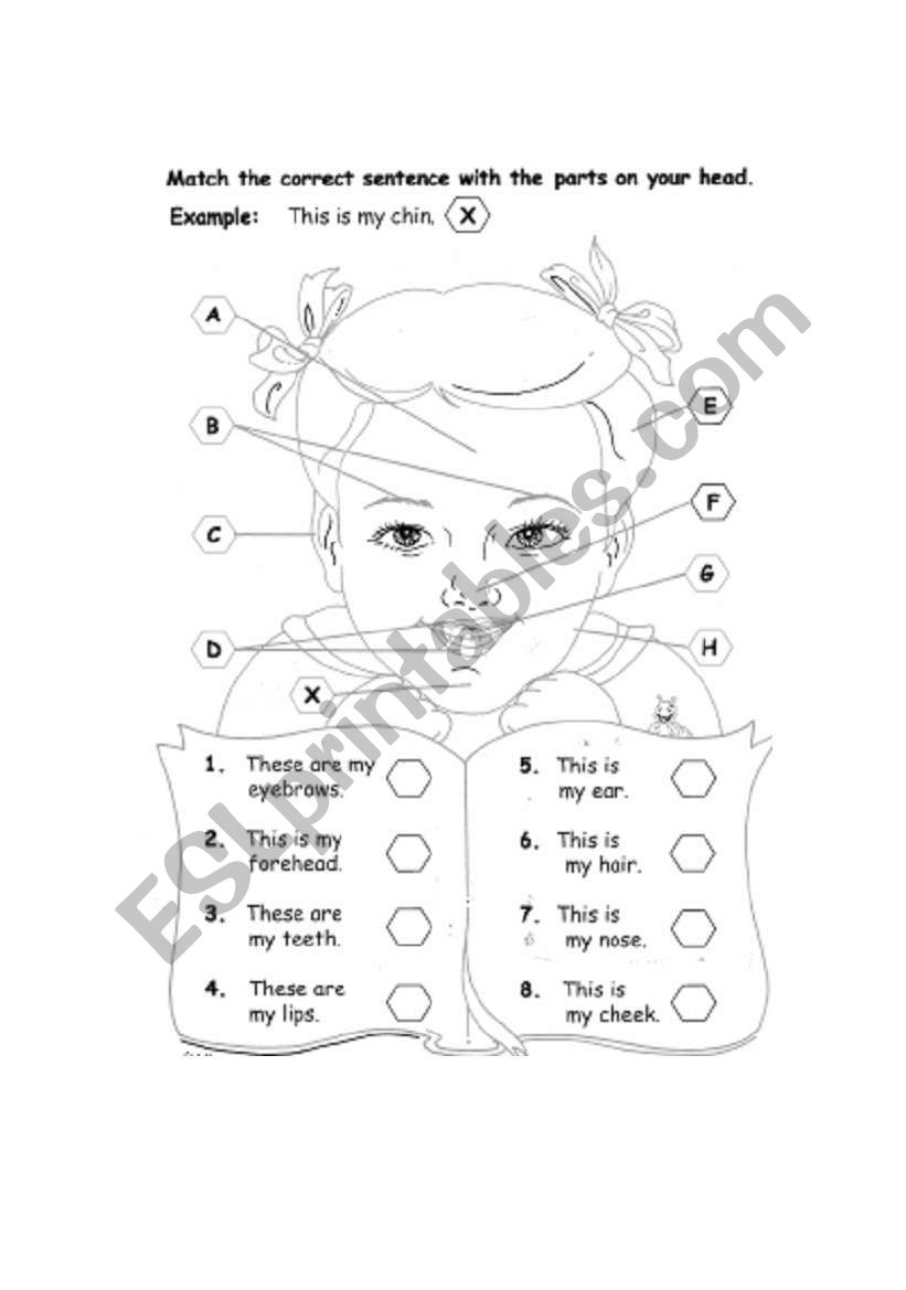 Part of My Face worksheet